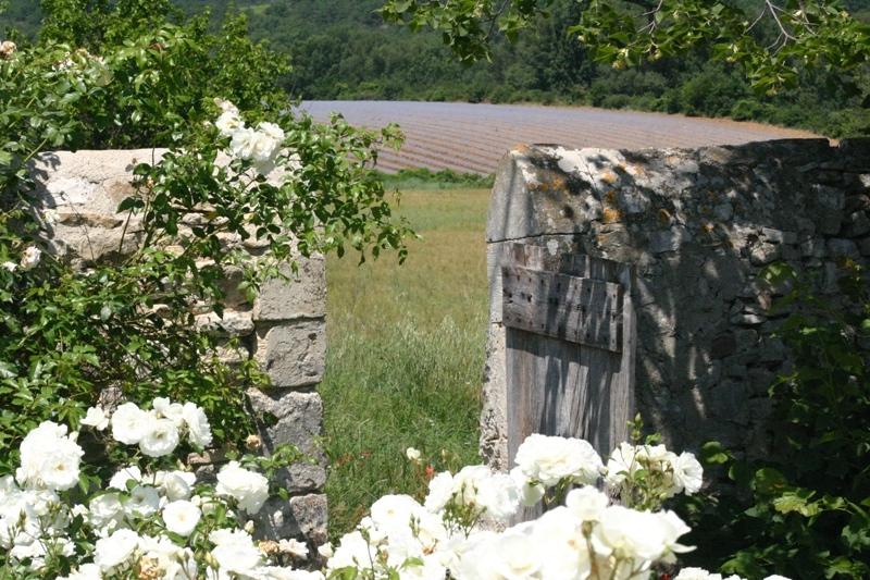 Superbe Bastide Bourgeoise XVIIIème face au Luberon